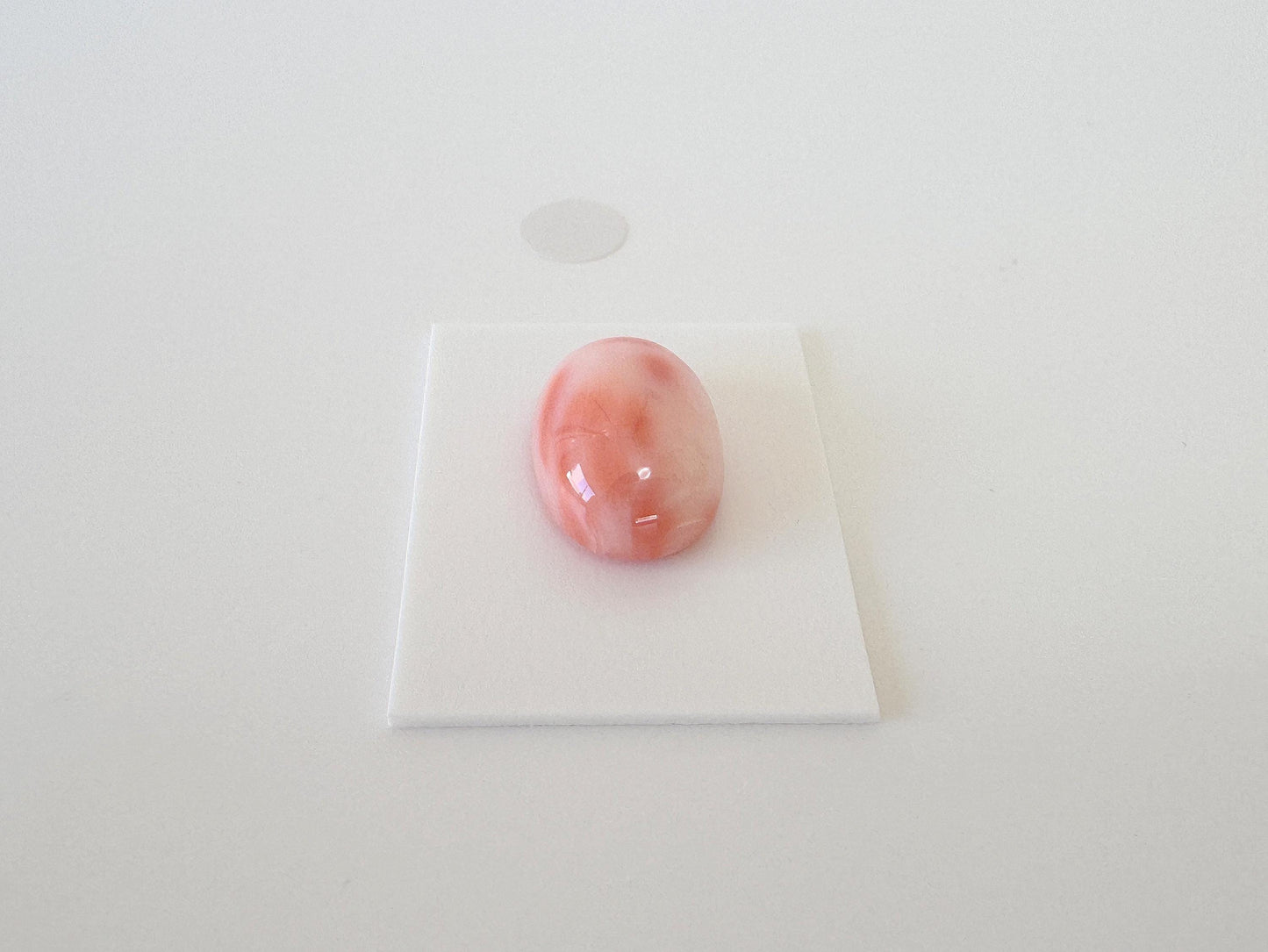 Natural Deep Sea Coral Cabochon, Pink/Orange Oval, 15.6x11mm