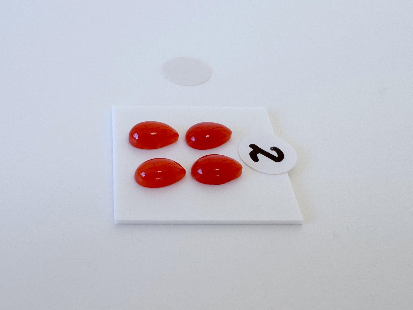 Natural Japanese Aka (Red) Coral Pear Shape Cabochons: Set of 4 or 6 Pcs