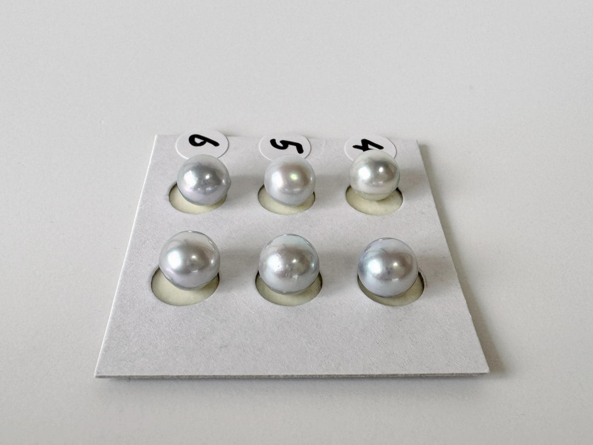 Akoya Pearls Loose Natural Blue/Silver Half-Drilled: 7-7.5mm, Japanese Cultured Saltwater Beads, Pair Pricing | Jewelry Supplies