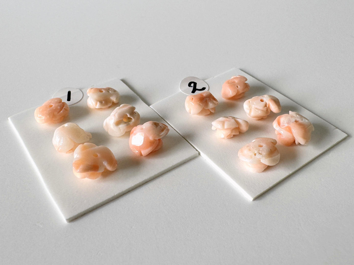 two white plates with small, light-colored objects arranged on them. The objects appear to be small, round, and possibly made of a material similar to plastic or a soft, light-colored material.