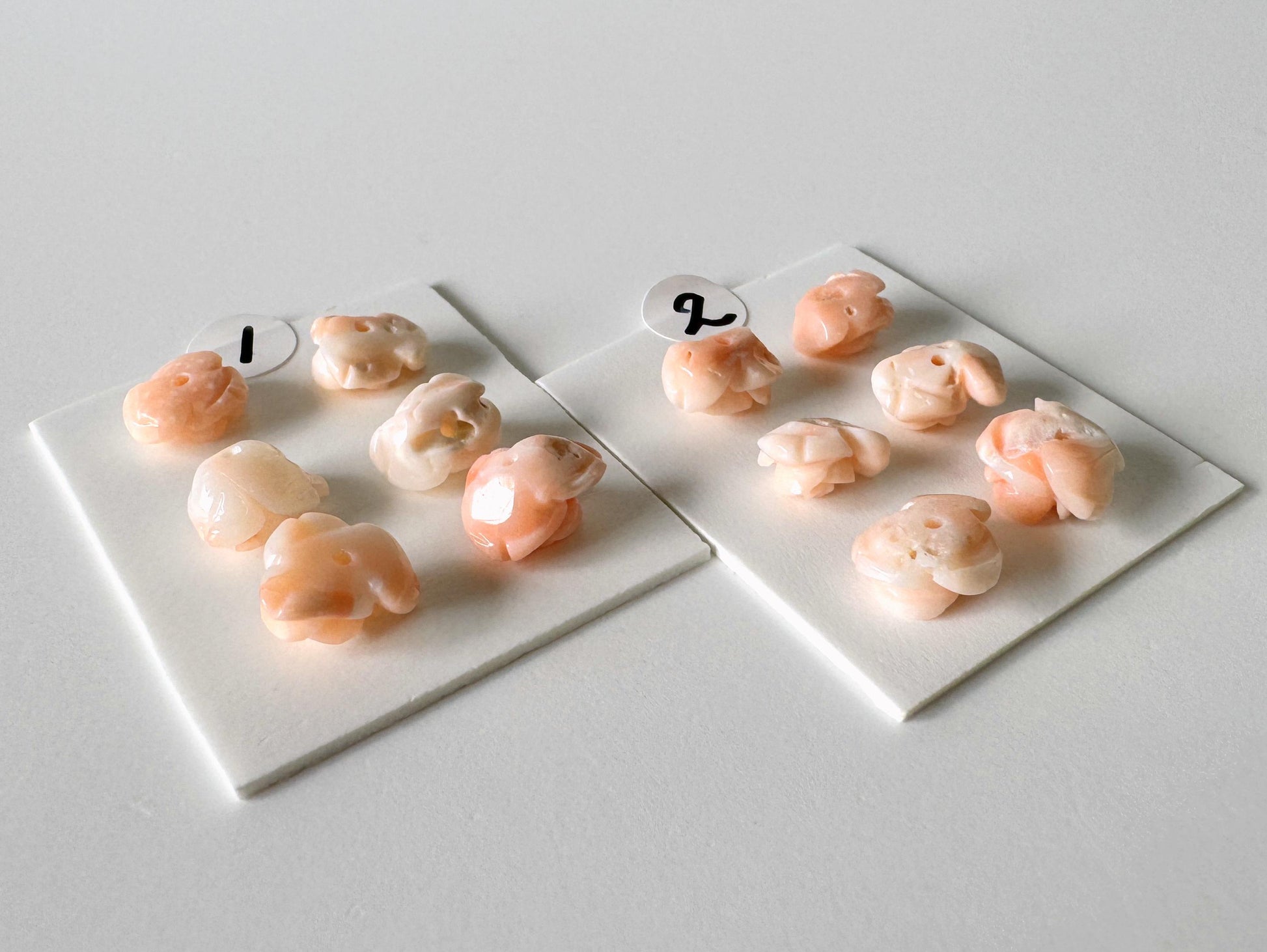 two white plates with small, light-colored objects arranged on them. The objects appear to be small, round, and possibly made of a material similar to plastic or a soft, light-colored material.