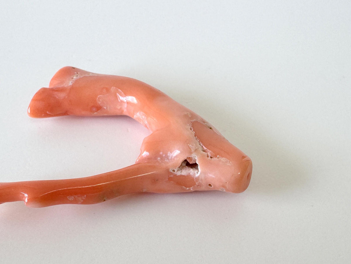 Natural Coral Branch, Pink Orange, 41mm | Hole Top | Deep Sea Coral Jewelry Making Supply