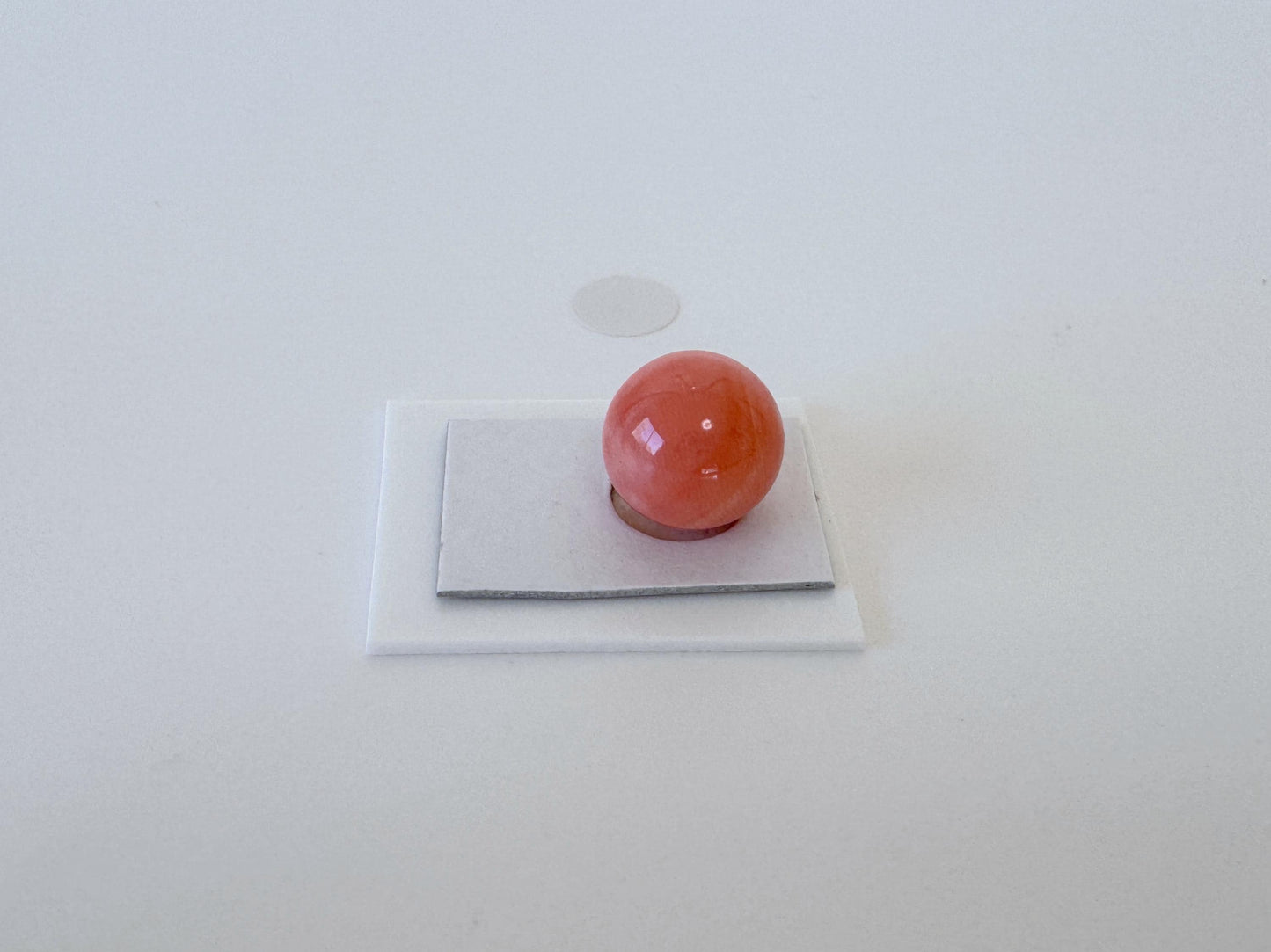 Natural Momo Coral Bead | 10.5mm Orange Round Coral Gemstone Half Drilled Hole Jewelry Crafting