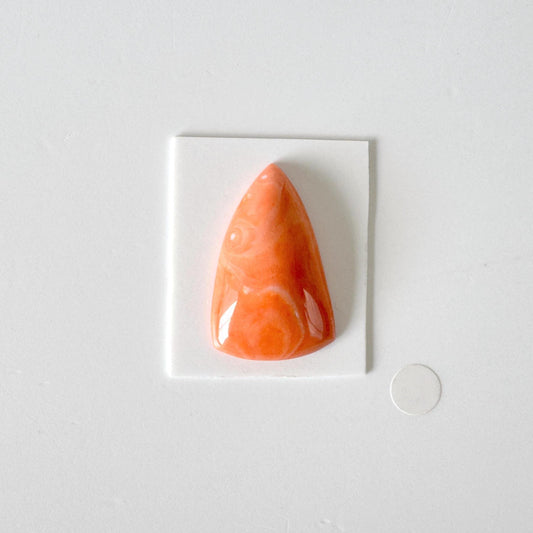 Momo Coral Unique Shape Cabochon, Natural Orange Color (30x19mm, Genuine Coral, Jewelry Supplies)