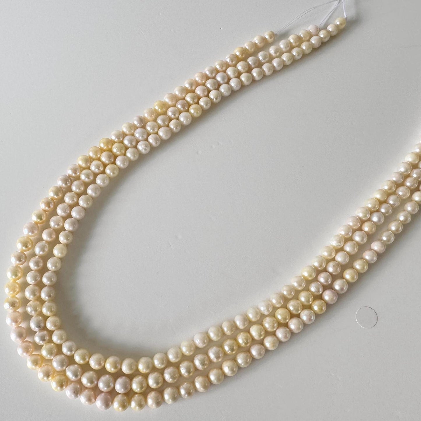 Japanese Akoya Pearl Strand - Cultured Saltwater Beads - 5-5.7mm Off Cream/Yellow, Full 40cm Length, Jewelry Crafts, Value-Priced