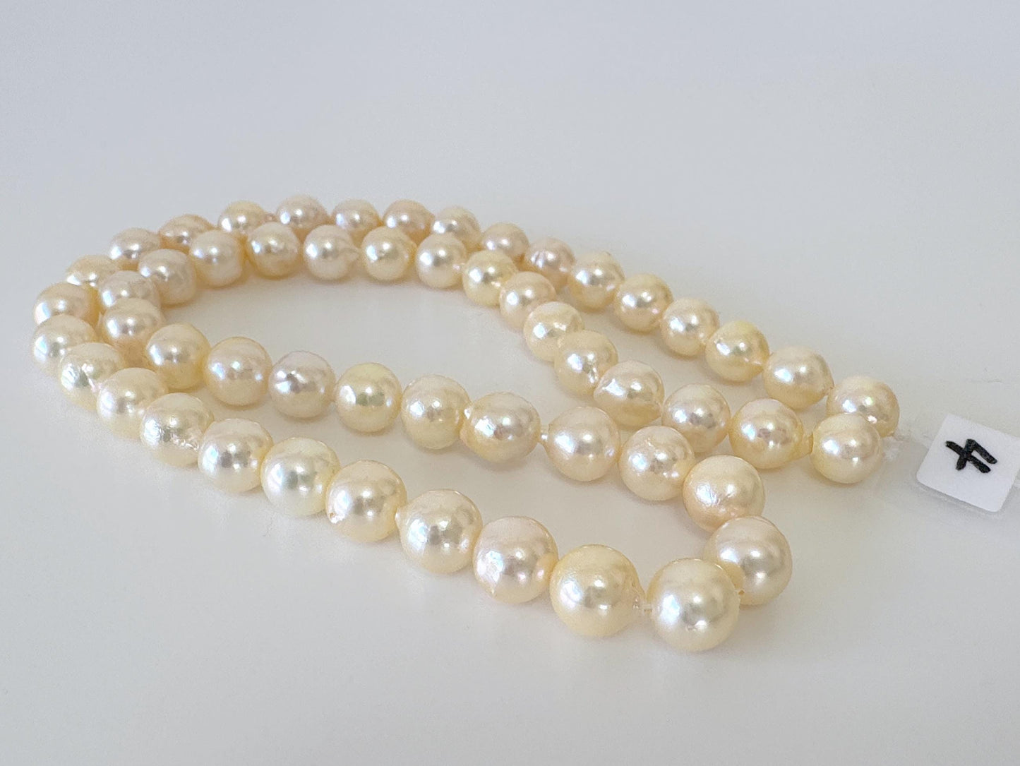 7-7.5mm Japanese Yellow Akoya Pearl Beads, Genuine Akoya Pearl, Full Strand, 40cm , 15.7", Cultured Salt water pearl