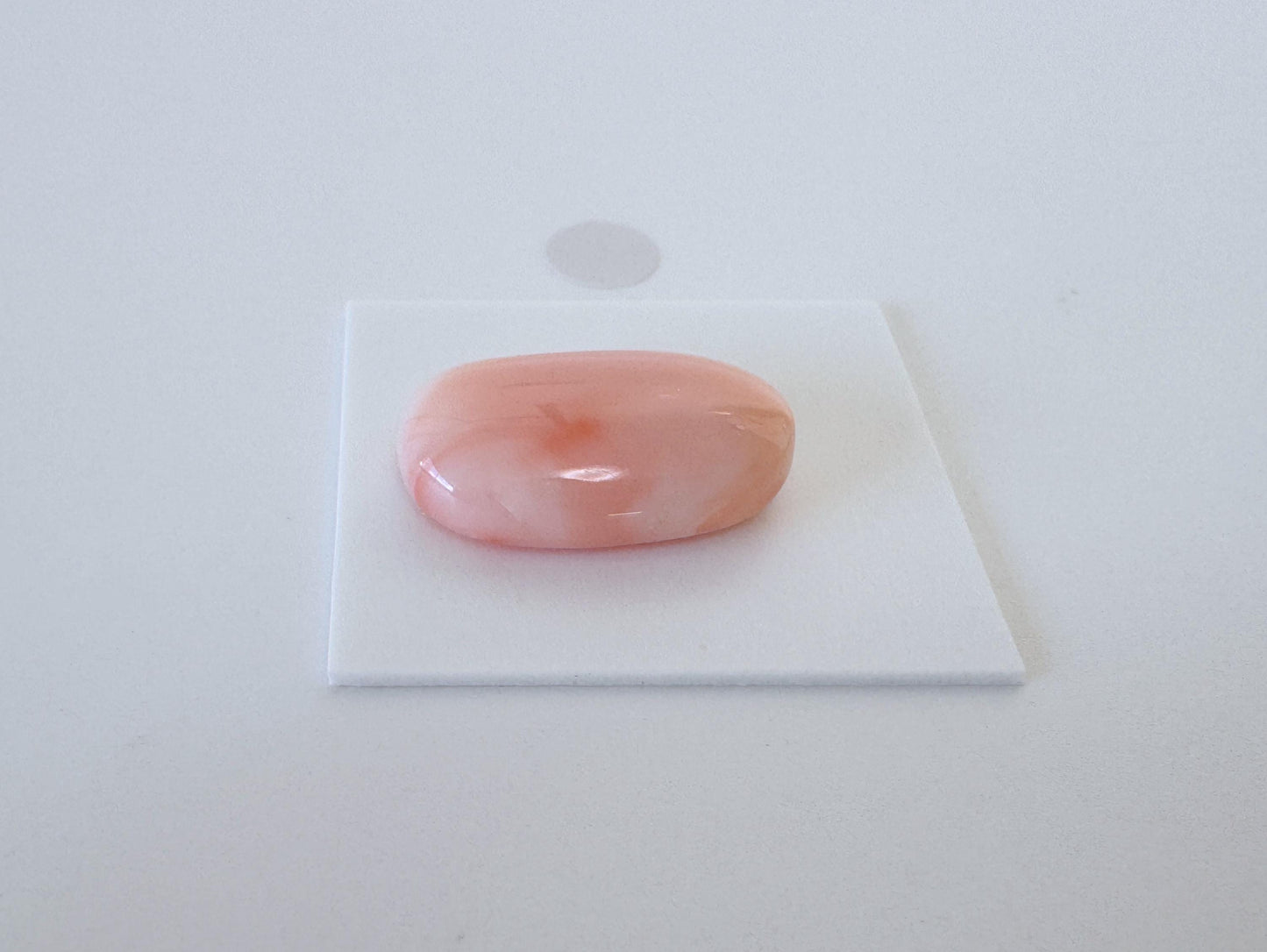 Natural Deep Sea Coral Cabochon, Pink/Orange Oval, 22x13.4mm