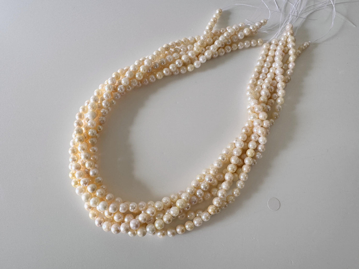 Japanese Akoya Pearl Strand - Cultured Saltwater Beads - 5-5.7mm Off White/Cream, Full 40cm Length, Jewelry Crafts, Value-Priced