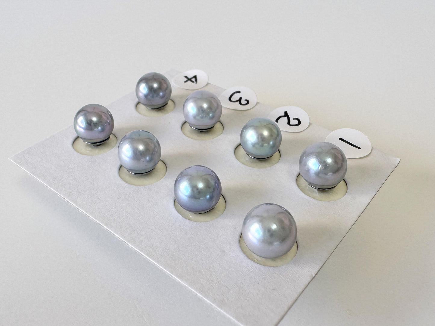 Japanese Akoya Pearl Stud Earrings, Blue Silver Treated (7mm, Titanium Posts, Saltwater Cultured)
