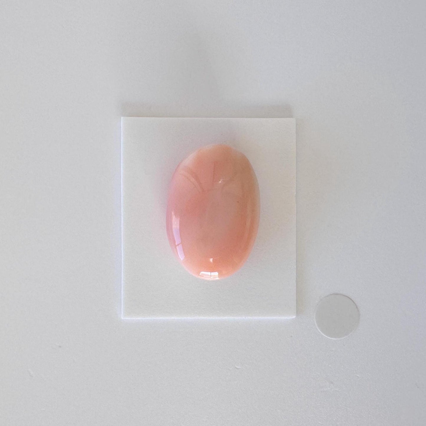 Natural Deep Sea Coral Cabochon, Pink/White/Orange Oval, 22.5x15.5mm