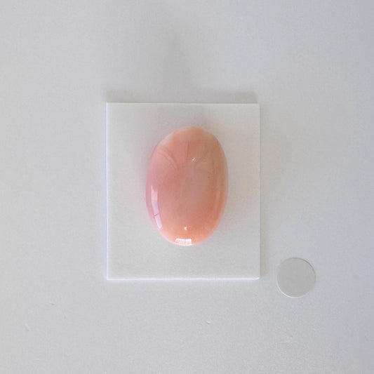Natural Deep Sea Coral Cabochon, Pink/White/Orange Oval, 22.5x15.5mm