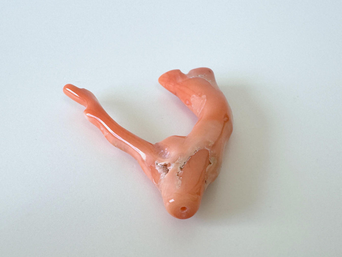 Natural Coral Branch, Pink Orange, 41mm | Hole Top | Deep Sea Coral Jewelry Making Supply