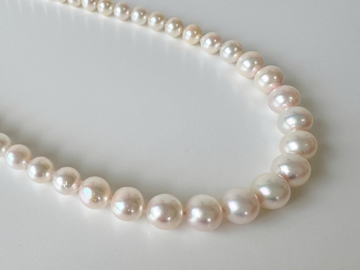 Japanese Akoya Pearl Necklace: White/Slightly Pink 6.8-9.3mm Cultured Strand, Silver Clasp | Saltwater Gems, 45cm Length