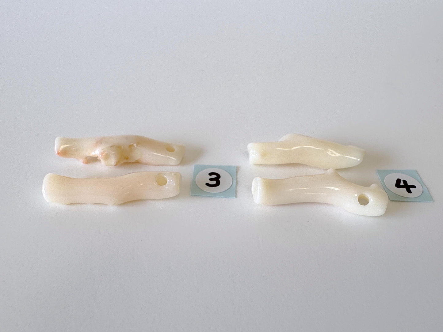 Value-priced Natural White Coral Branch Loose, Set of 2 pieces, Natural Color Deep Sea Midway Coral Branch