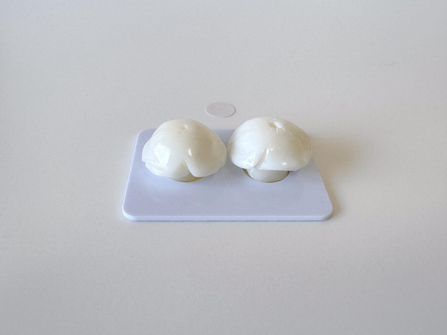 Natural White Coral Rose Loose Pair, 17mm, White Color Rose, Natural Color Coral Rose, Price per Pair, Genuine Precious Coral