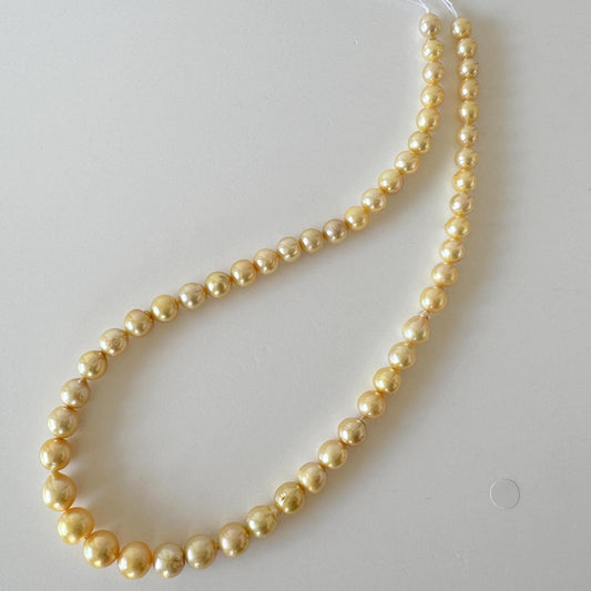 Japanese Akoya Golden Pearl Beads: Approx. 6-9mm Semi-Baroque, Color Treated | Full Strand 41cm, Saltwater Cultured Pearls