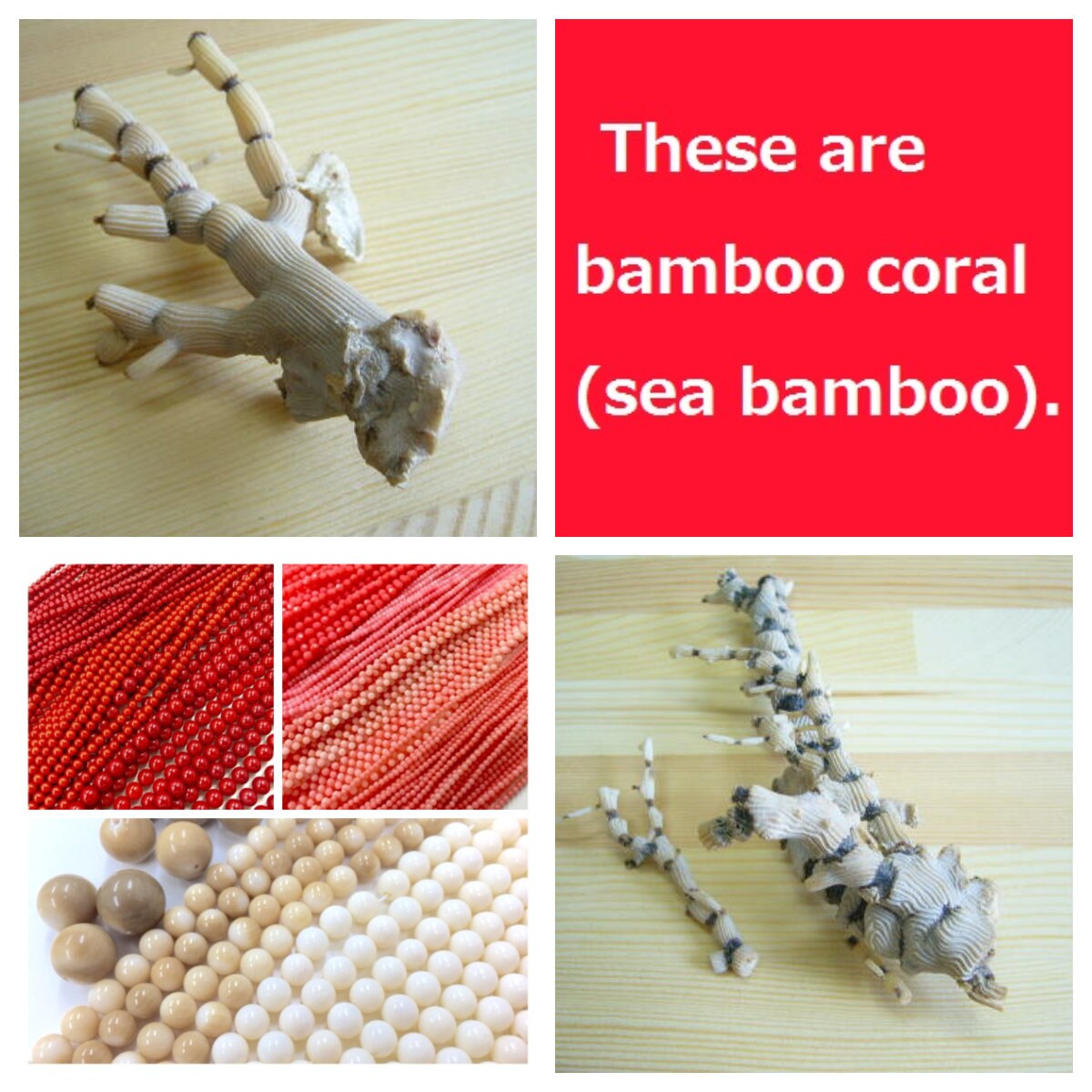 Pink bamboo coral 3x6mm rice shape strands, 40cm, 15.7inches, pink sea bamboo, price per strand  (colored)