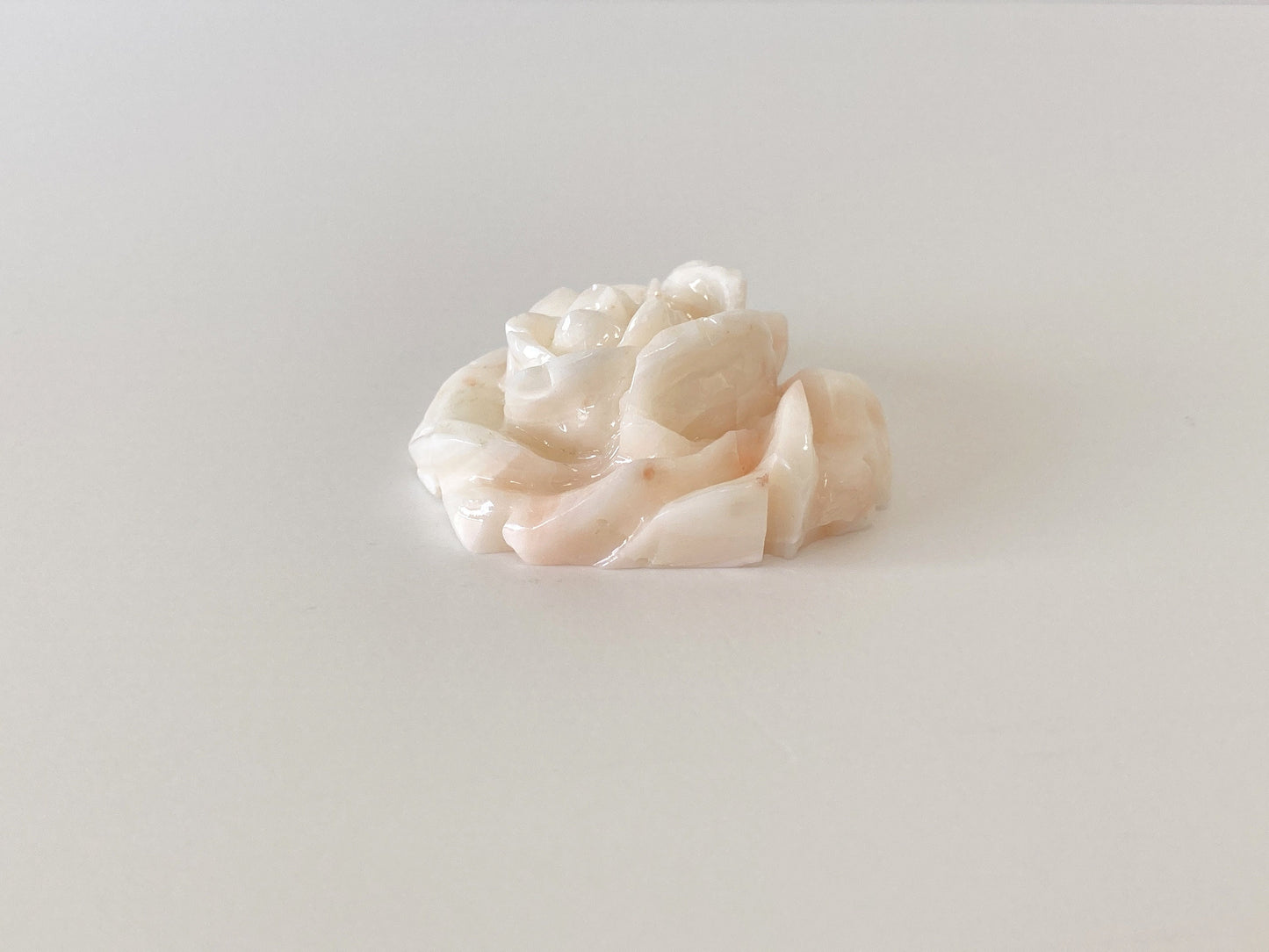 Natural Deep Sea Coral Rose Carving Loose, Natural White/Slightly Pink Coral, 39x36mm, Flat Back, Hand Carved