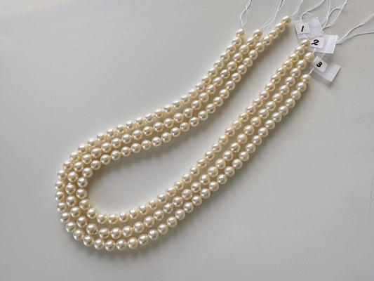7-7.5mm Japanese Cream White/Off-white  Akoya Pearl Beads, Genuine Akoya Pearl, Full Strand, 40cm , 15.7", Cultured Salt water pearl