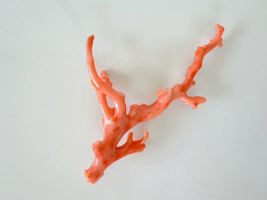 11.6ｘ7.5cm Natural Deep Sea Coral Branch Loose, Orange/Pink Color Coral Branch, Genuine Natural Color Coral, No Drilled Hole, For Display