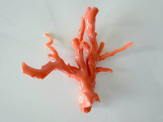 10.5ｘ10.5cm Natural Deep Sea Coral Branch Loose, Orange/Pink Color Coral Branch, Genuine Natural Color Coral, No Drilled Hole, For Display