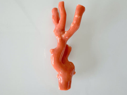 8.5ｘ3.5cm Natural Deep Sea Coral Branch Loose, Orange Color Coral Branch, Genuine Natural Color Coral, No Drilled Hole