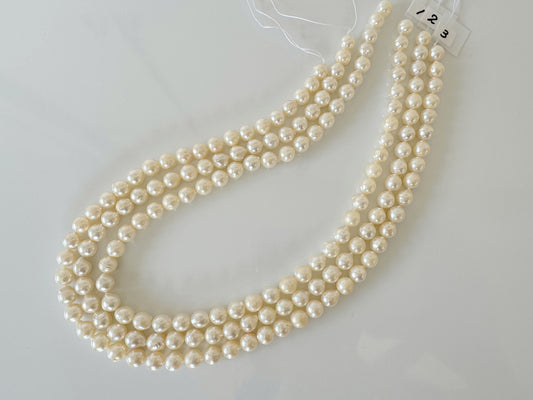 7-7.5mm Japanese Cream White/Off-white  Akoya Pearl Beads, Genuine Akoya Pearl, Full Strand, 40cm , 15.7", Cultured Salt water pearl