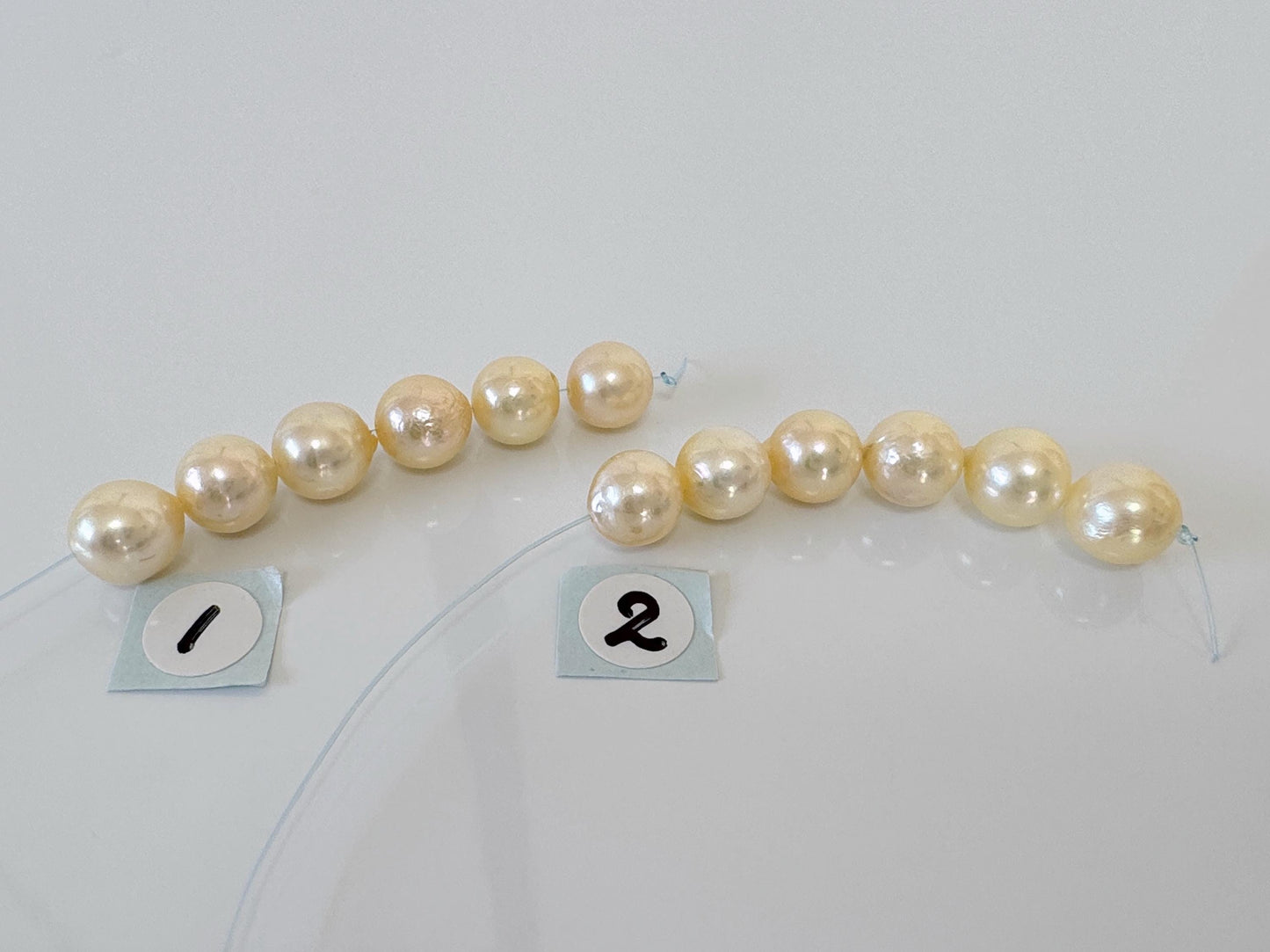 Japanese Yellow Akoya Pearl Beads, 7-7.5mm, Mini Strand, Short Strand, 6 Pieces, Genuine Akoya Pearl, Cultured in Sea Water