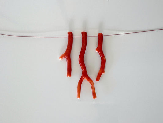 Natural Japanese Momo Coral branches, Set of 3pcs, Natural Orange Color, Side Full-Hole, Genuine Precious Coral, for Jewelry Making