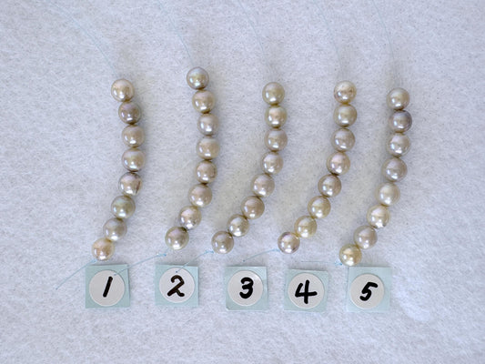 Japanese Natural blue/silver color Akoya Pearl Beads, 5-5.5mm, Mini Strand, Short Strand of 8 Pieces, Cultured in Sea Water