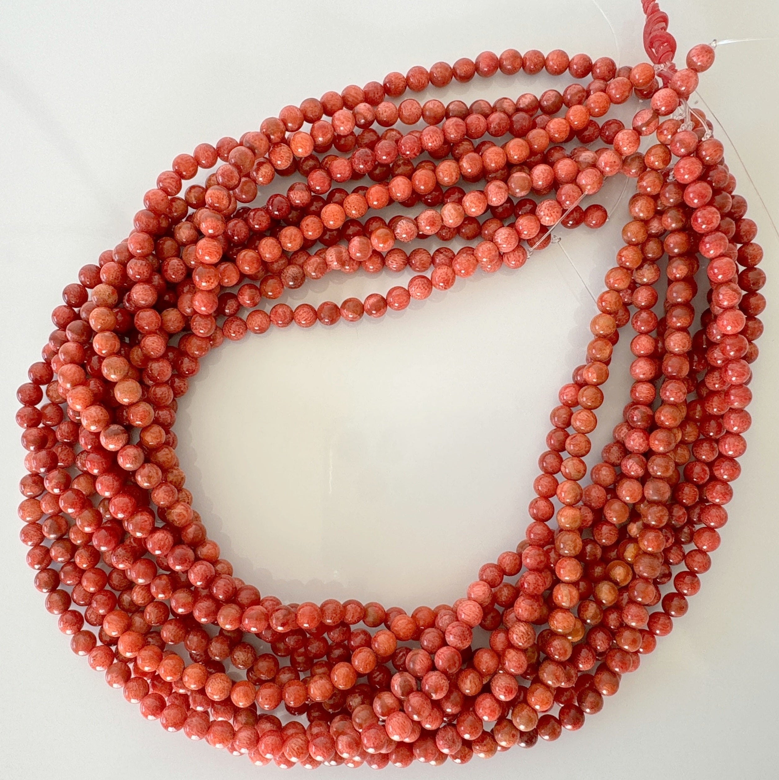 Sponge coral strand – C.Japan