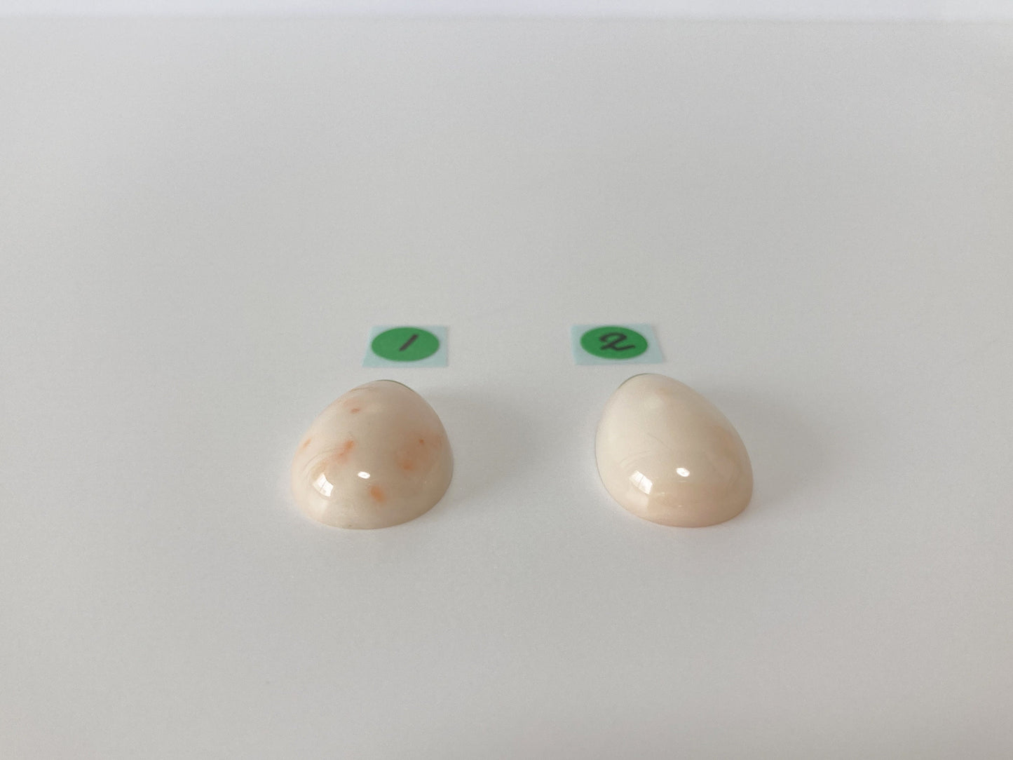 Natural Deep Sea Coral Teardrop Cabochon, Natural White/Pink Coral Teardrop Shape Loose, for Jewelry Making, Drilled Hole, Flat Back