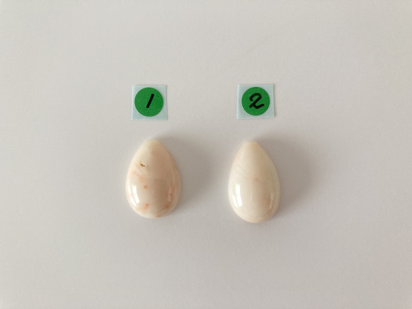 Natural Deep Sea Coral Teardrop Cabochon, Natural White/Pink Coral Teardrop Shape Loose, for Jewelry Making, Drilled Hole, Flat Back