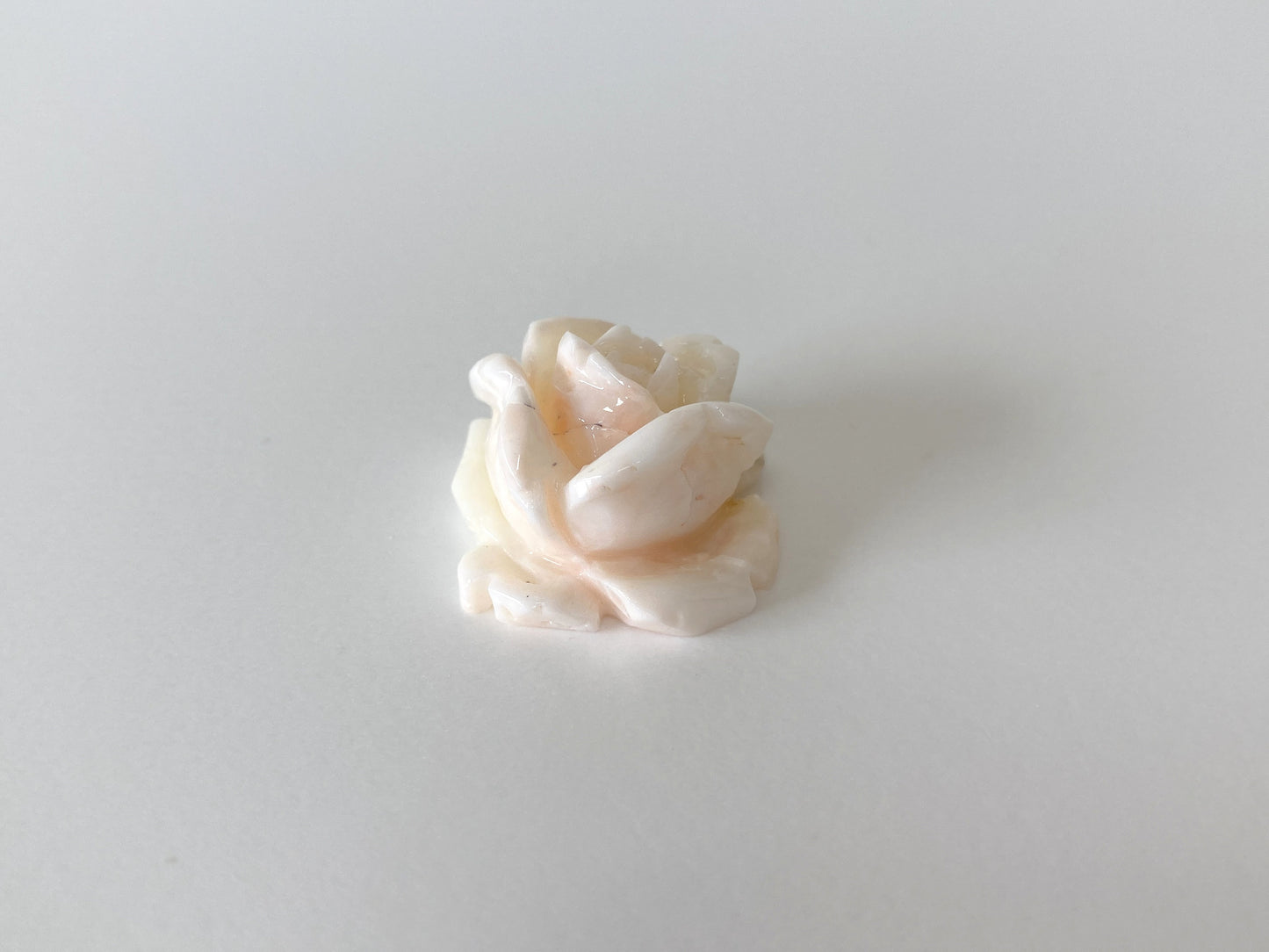 Natural Deep Sea Coral Rose Carving Loose, Natural Pale White Pink Coral, 22x20mm, Flat Back, For Jewelry Making, Hand Carved