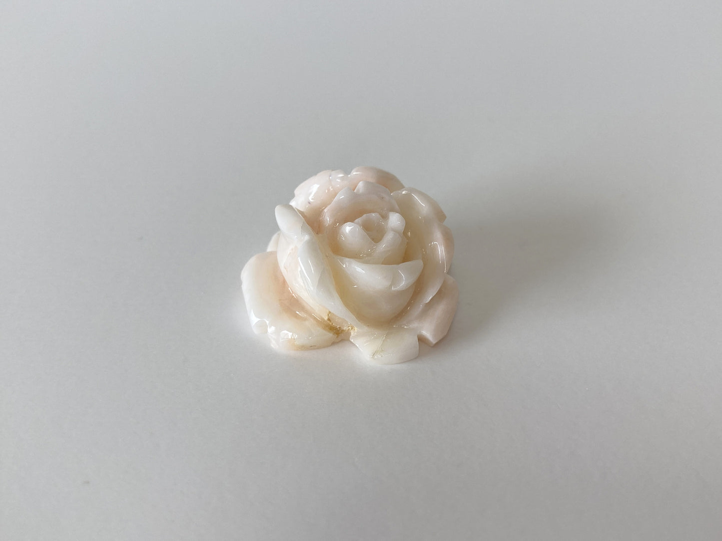 Natural Deep Sea Coral Rose Carving Loose, Natural Pale White Pink Coral, 22x20mm, Flat Back, For Jewelry Making, Hand Carved