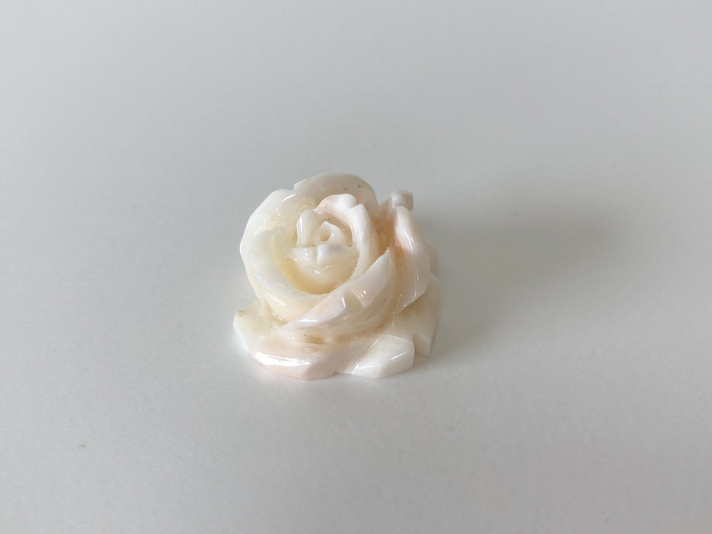 Natural Deep Sea Coral Rose Carving Loose, Natural Pale White Pink Coral, 22x20mm, Flat Back, For Jewelry Making, Hand Carved