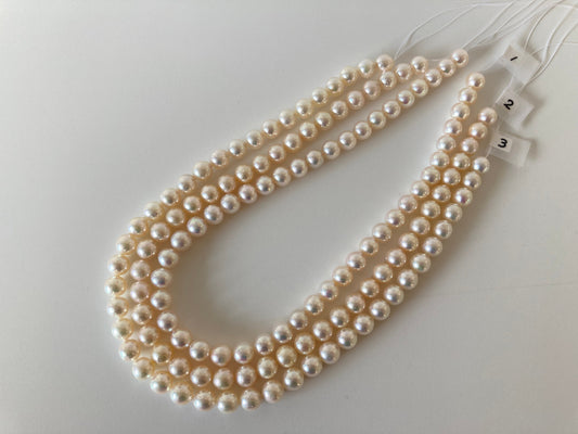 9-9.5mm Japanese Cream White Akoya Pearl, Genuine Akoya Pearl, Full Strand, 40cm , 16", Salt water pearl