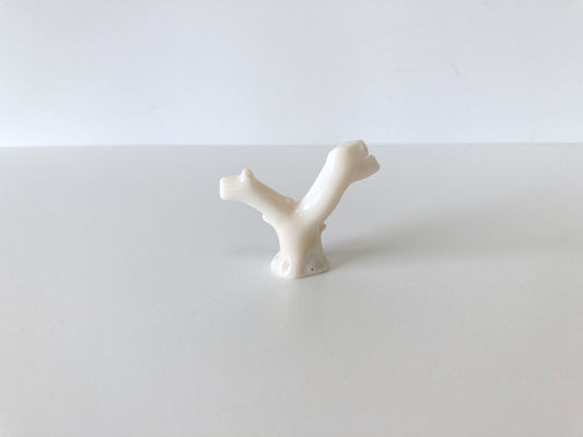 4.5x4cm Genuine White Coral Branch, Natural Shape White Coral, Natural Color, For display