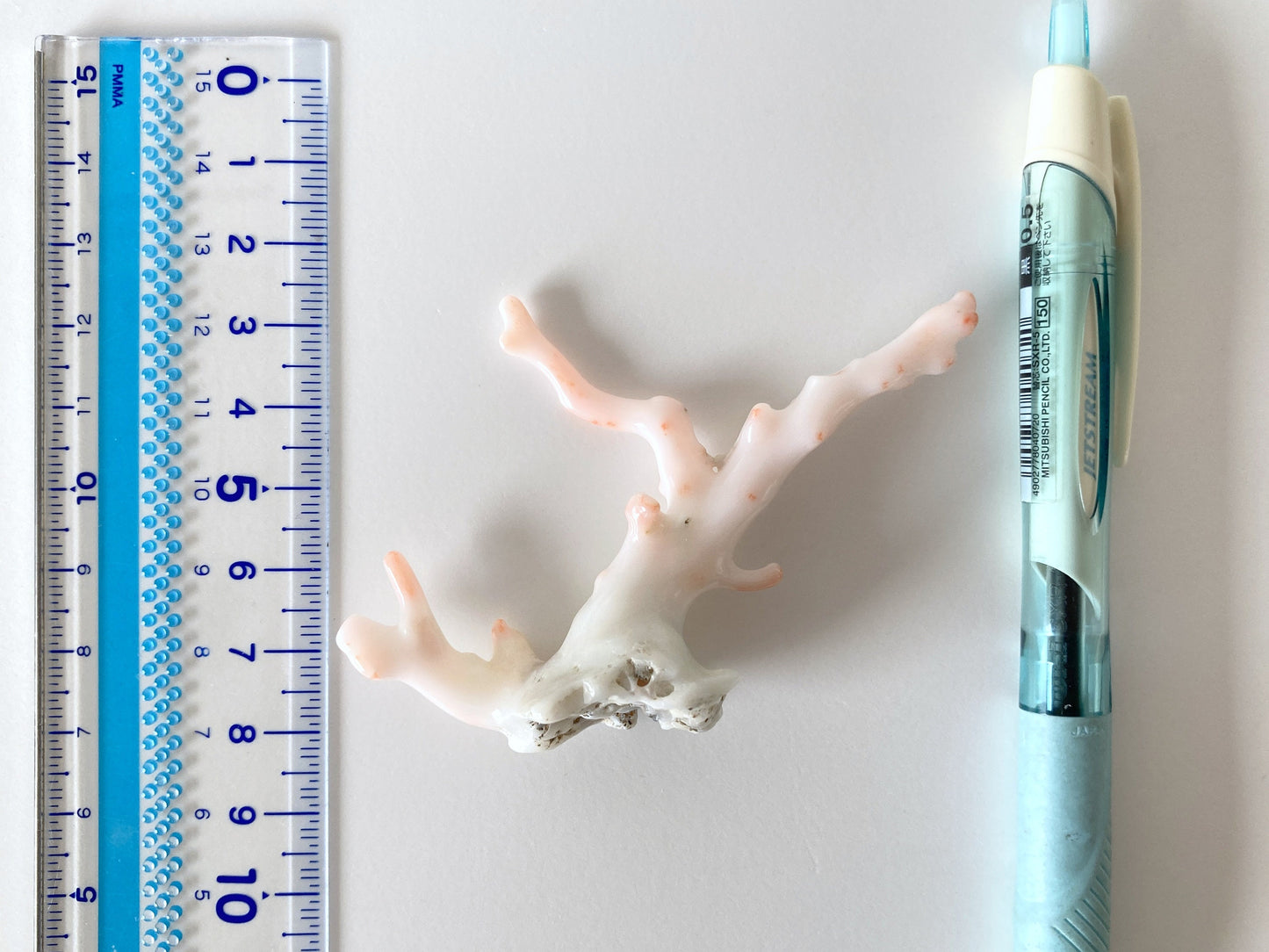8.5x5.5cm Genuine White Coral Branch, Natural Shape White Coral, Natural Color, For display