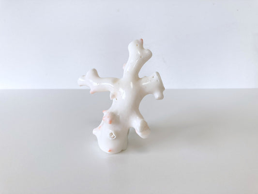 6.5x8.2cm Genuine White Coral Branch, Natural Shape White Coral, Natural Color, For display